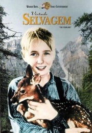 Virtude Selvagem (Marjorie Kinnan Rawlings)