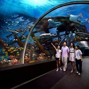 Marine Life Park, Singapore