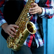 Learnt to Play Saxophone