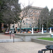 Santa Rosa, California, USA