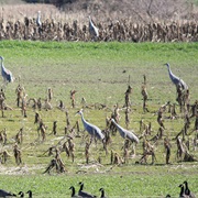Sunken Village Archeological Site