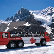 Explore the Columbia Ice Fields (AB)