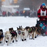 Watch the Canadian Challenge