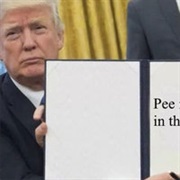 Pee Is Stored in the Balls