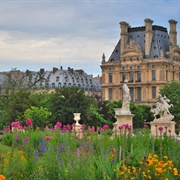 Jardins Des Tuileries - Paris, France