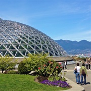 Bloedel Conservatory Vancouver, BC