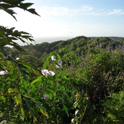 Corbin Local Wildlife Park, Trinidad and Tobago