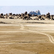 Grand Barra, Djibouti