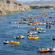 Salt River Tubing in Mesa, AZ