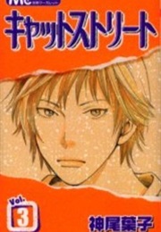 Cat Street Volume #3 (Kamio Yoko)