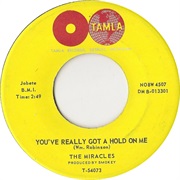 The Miracles - You've Really Got a Hold on Me