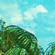 The Hospitals - Hairdryer Peace