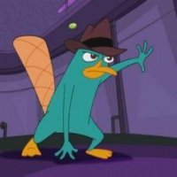 Perry the Platypus