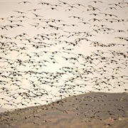 Solway Firth / Solway Coast AONB, Sco / Eng