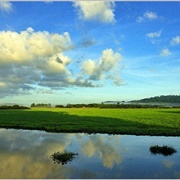 Kaw Nature Reserve, French Guiana