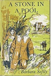 A Stone in a Pool (Barbara Softly)