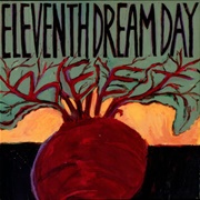 Eleventh Dream Day - Beet