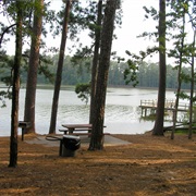 Clarkco State Park, Mississippi