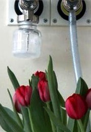 Dievas Sukūrė Viską, Išskyrus Kilimą (2012)