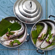 Striped Snakehead (Channa Striata)