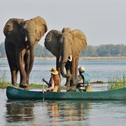 Vilanculos Canoe Safari
