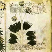 What Is the Voynich Manuscript