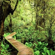 Pacific Rim National Park, Canada