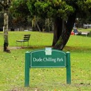 Dude Chilling Park