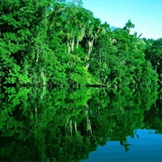 Rurrenabaque, Bolivia