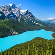 Peyto Lake - Canada