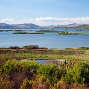 Hutovo Blato Nature Park Bosnia and Herzegovina