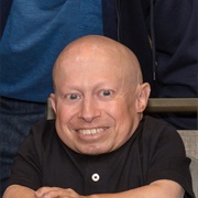 Verne Troyer, 49, Suicide by Alcohol Poisoning