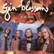 Allison Road - Gin Blossoms