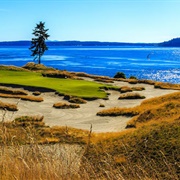 Chambers Bay G.C. WA, USA