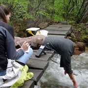 Environmental Engineer