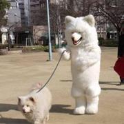 Dog a Dog to Pet Mabye