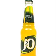 J20
