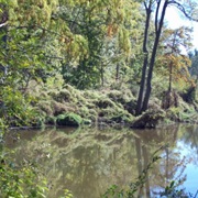 Limekiln Springs Preserve, Illinois