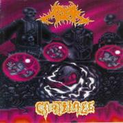 Cartilage - The Fragile Concept of Affection