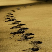 How Do I Want to Be Remembered?