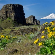 Columbia Hills State Park, Washington