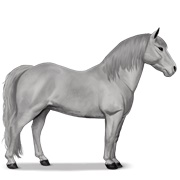 Kerry Bog - Light Gray