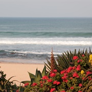 Jeffreys Bay
