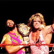 Randy Savage vs. Ultimate Warrior,Summerslam 1992