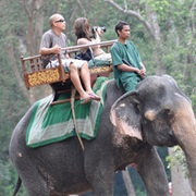 Monter Un Éléphant