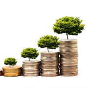 Make an Investment in Something