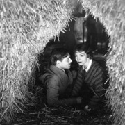 It Happened One Night