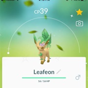 Flower Crown Leafeon