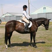 English Horse Riding