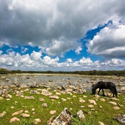 La Giara Di Gesturi, Sardinia